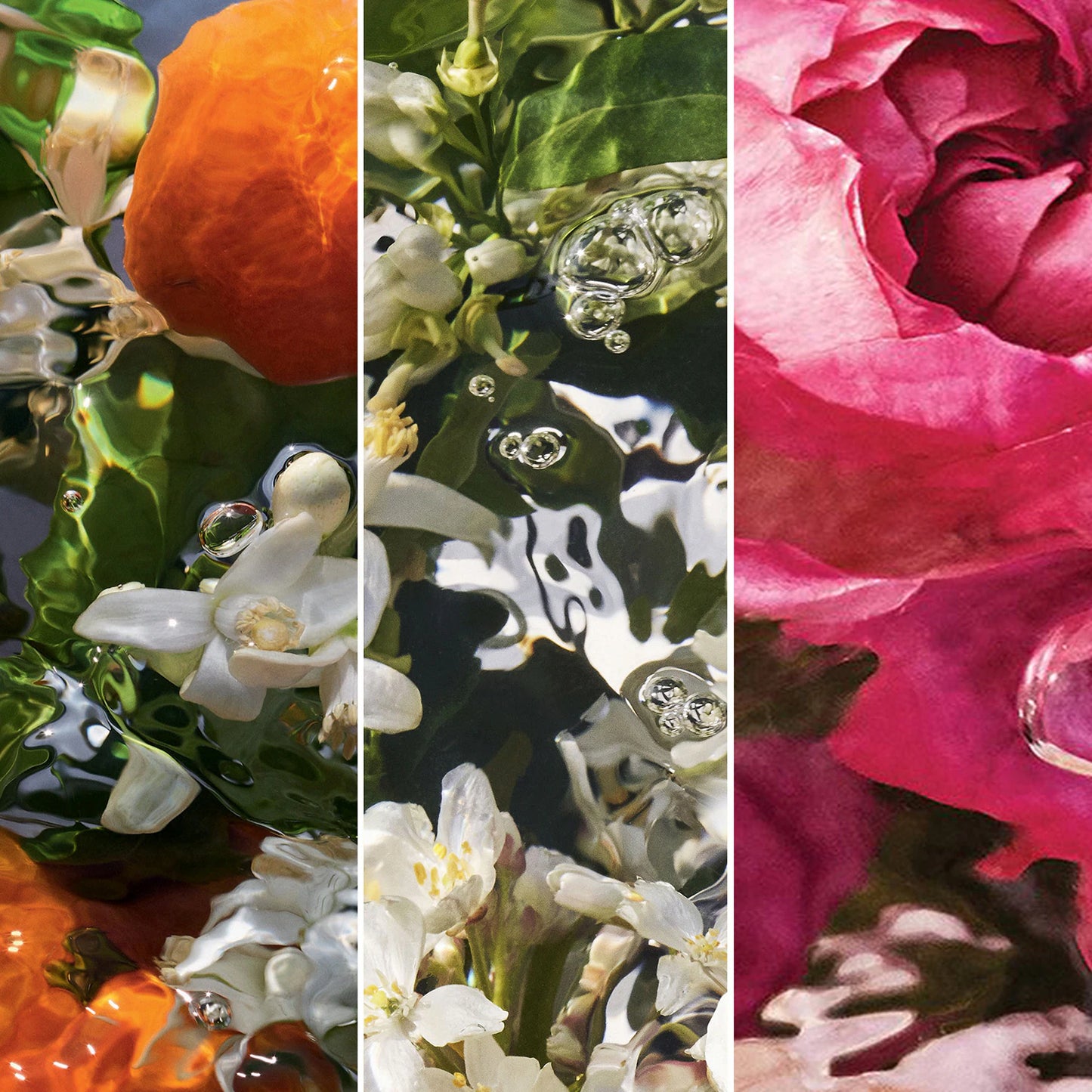 AQUA ALLEGORIA MANDARINE BASILIC Eau De Parfum 125 ml